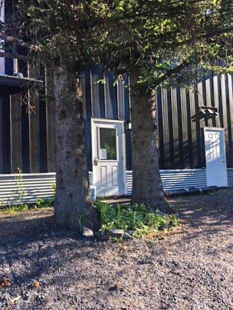 The Vue B&B Seward Exterior photo