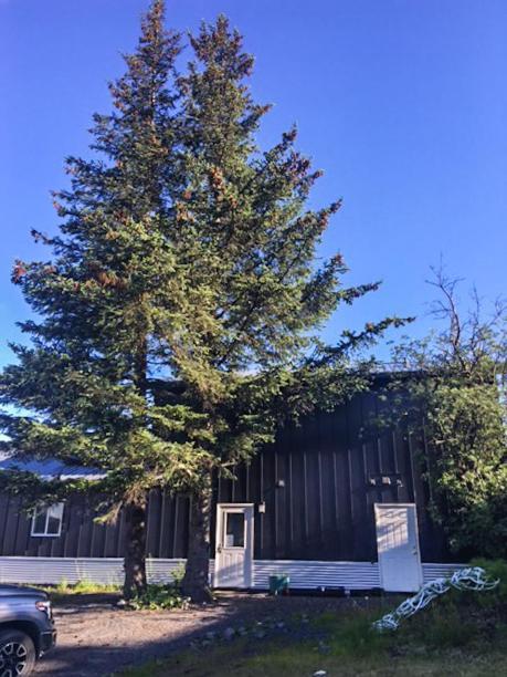 The Vue B&B Seward Exterior photo